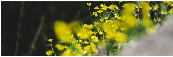 Is all Yoga Therapeautic?